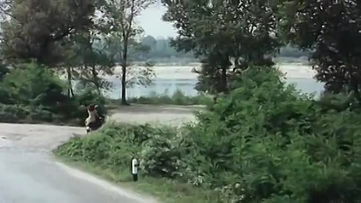 х. ф. ПОДСОЛНУХИ 1970 г. Софи Лорен и Марчелло Мастроянни, History