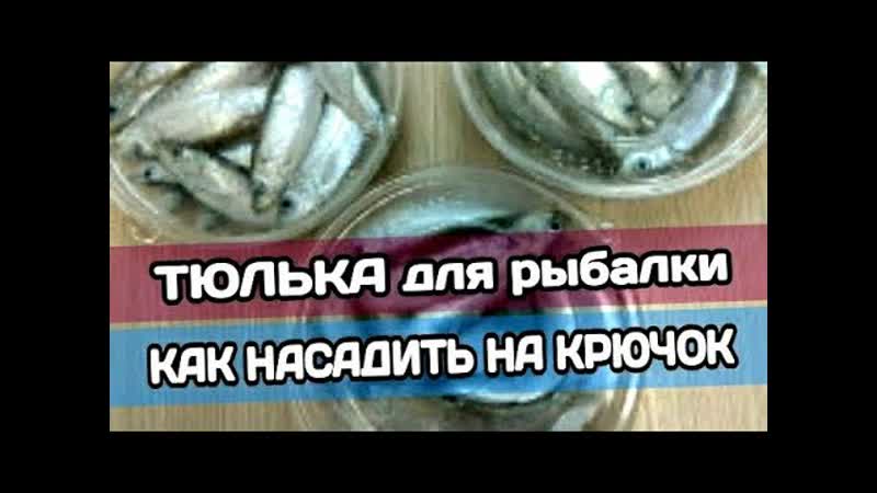 КАК НАСАДИТЬ ТЮЛЬКУ НА СУДАКА, НАЛИМА, БЕРША, СУДАК НА