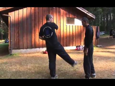 Muay Thai Techniques: Cut Kick Counter to The