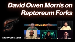 David Owen Morris on Raptoreum Forks