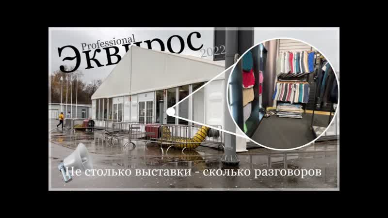 Рассказ о двух интересных магазинах и пара кадров с