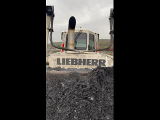 Liebherr 754