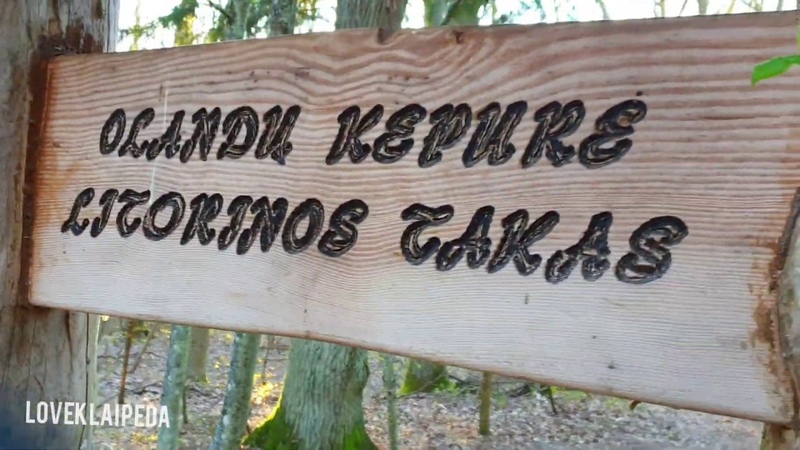 Litorinos takas,