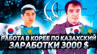 Работа в корее | Работа в Корее по Казахский |Южная Корея