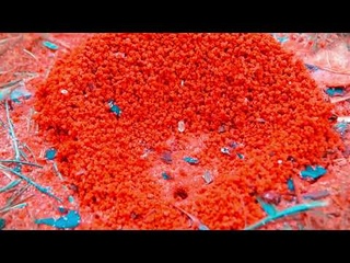 Slowshine - Brittle Bones (Official Video)