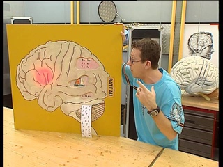 C’est pas sorcier -CERVEAU 2 : J’AI LA MEMOIRE QUI FLANCHE