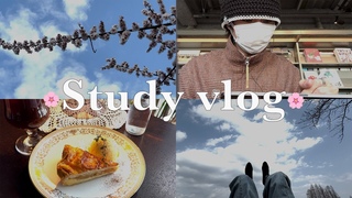 Study vlogВсе готовы к весне