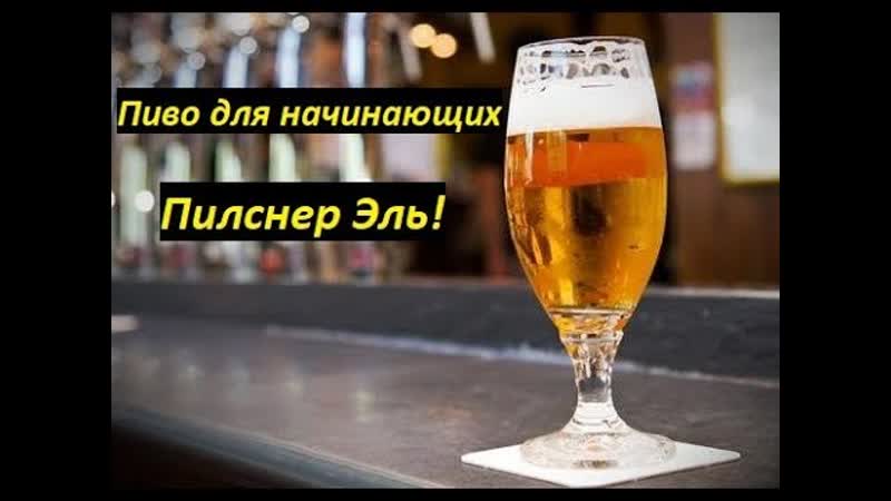 Пиво для начинающих Пилснер