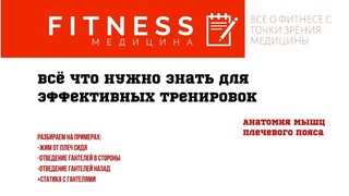 Всё что нужно знать об анатомии мышц плеч. пояса для эффективных тренировок