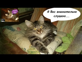 Кузьма Маленький Безобразник... Весело )))