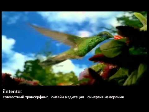 Утрений