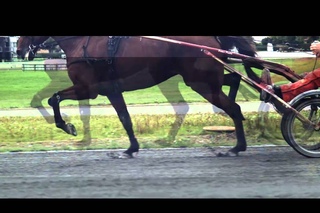 Кованый и не кованый       Ghost trooting shod
