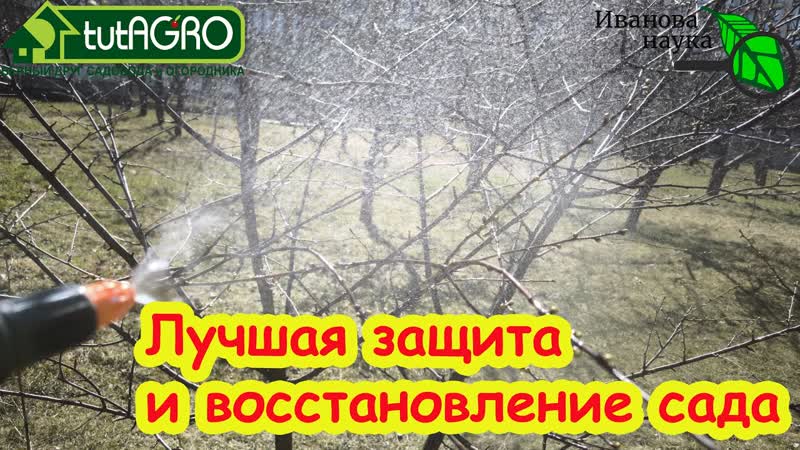 СРОЧНО защититься от возвратных холодов. Защита и