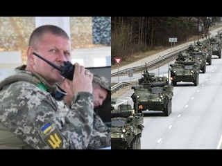 Миллионы солдат! Залужный шокировал всех: уже на границе. ВСУ готовы - остановить врага!