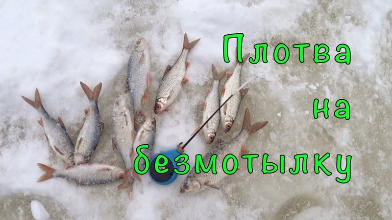 ДОМ на ВОДЕ. Зимняя рыбалка и зимние проблемы в
