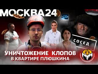 Уничтожение клопов в квартире Плюшкина