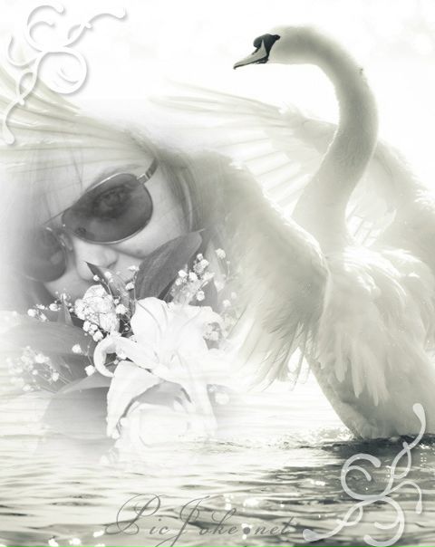 №106, Мария Дмитриева №106, Мария Дмитриева