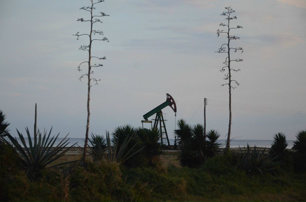 Сергей Желнинский Александрович | Воронеж