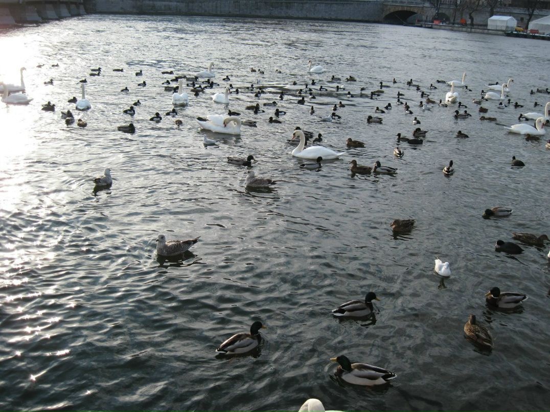 Галина Кузьмина | Нижний Новгород