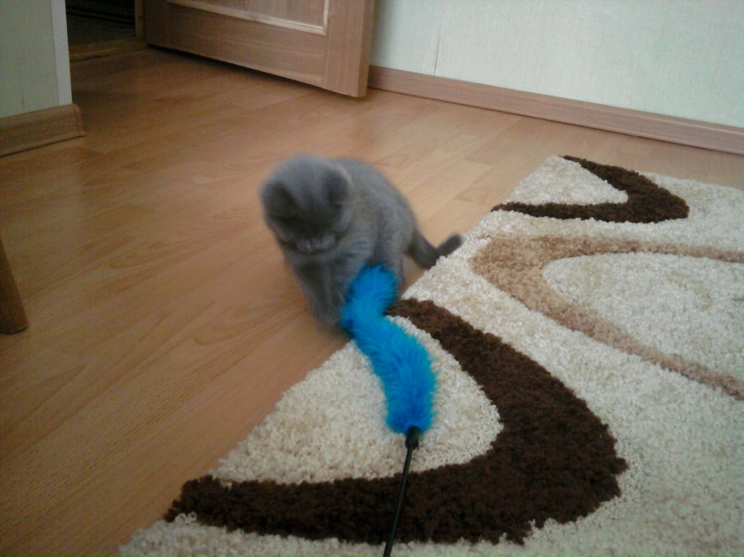 Ирина Второва | Одинцово