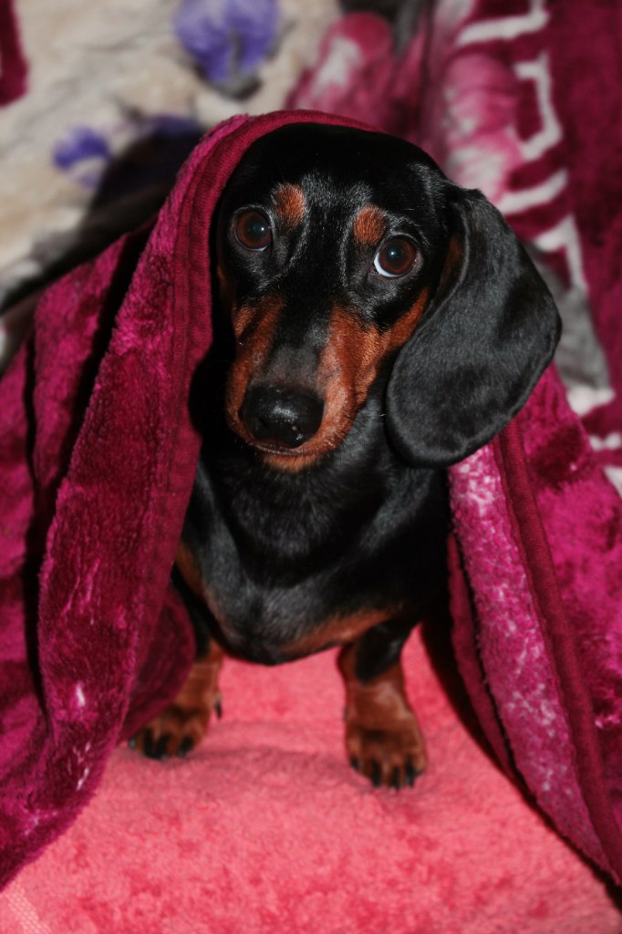 Юлия Соляник | Киев