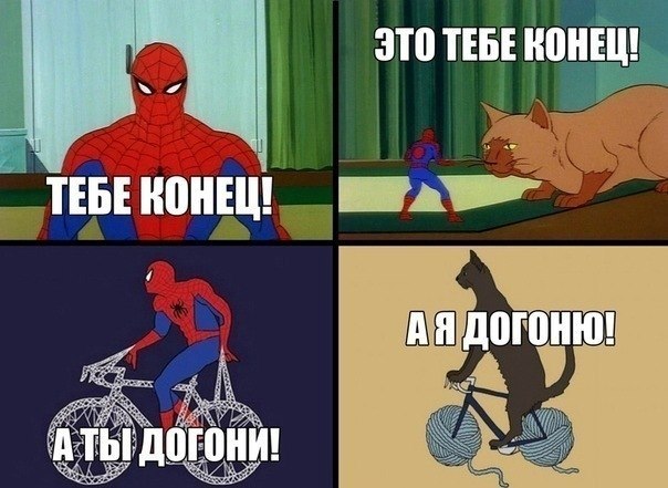 Оля Синица | Киев