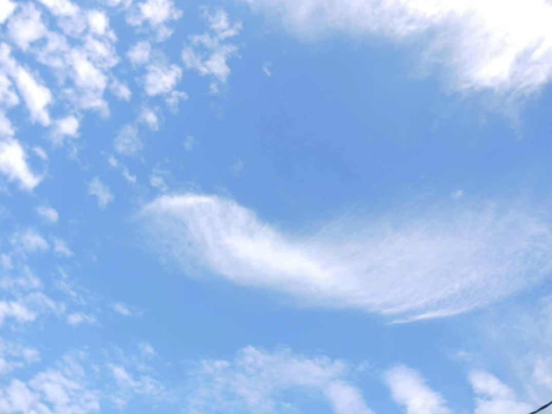 Евгения Фирсова | Москва