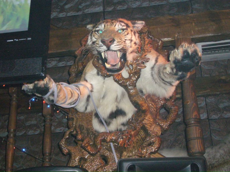 Сергей Лямин | Середейский