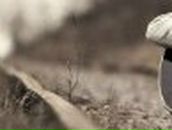 Антон Буйденков | Горки