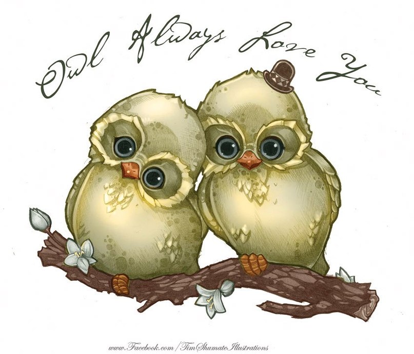 Вікторія Барбашова Vi | 