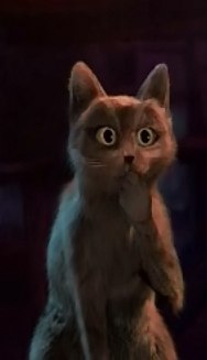 Дмитрий Коколов | Санкт-Петербург