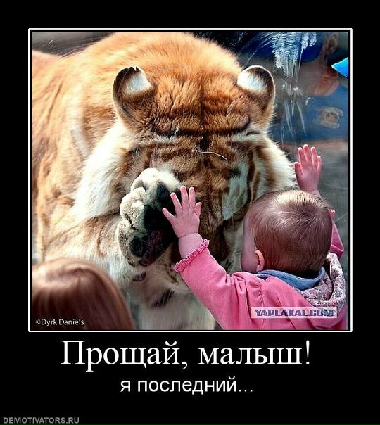 №118, Никита Котов, 32 года, Челябинск №118, Никита Котов, 32 года, Челябинск