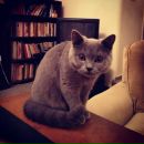 №11, Карина Зиновьева, 27.2, Москва, Россия