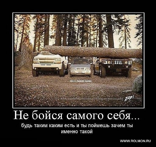 №12, Кирилл Архипов №12, Кирилл Архипов