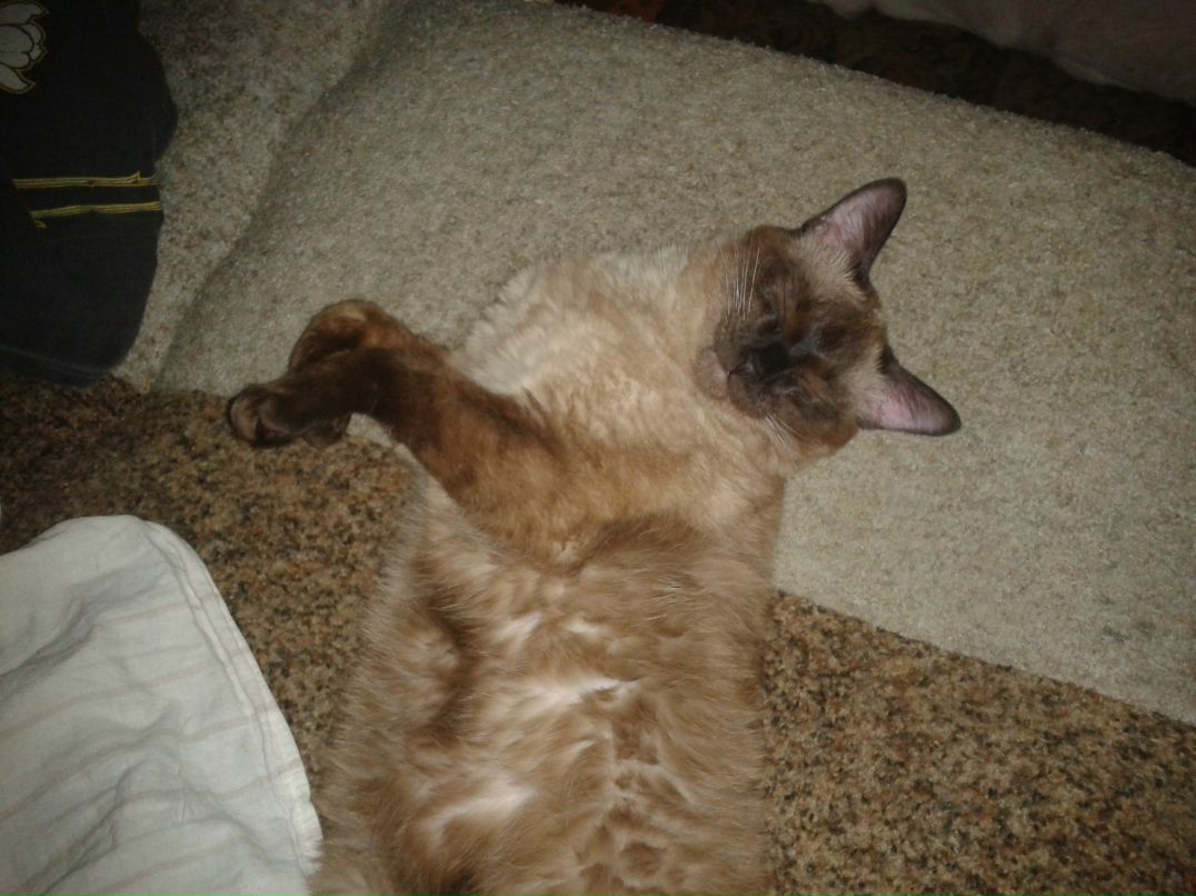 Игорь Нейский | Екатеринбург