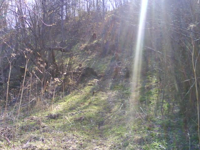 Ольга Волкова | Пола