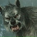 Фотография Павел Разумцов