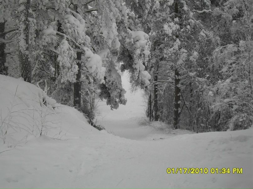 Андрей Нархов | Санкт-Петербург