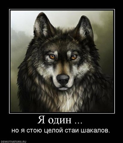 №70, Дима Водян, Николаев №70, Дима Водян, Николаев