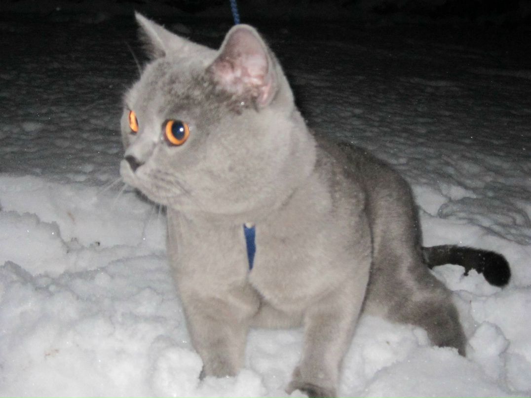 Ирина Цымбал | 