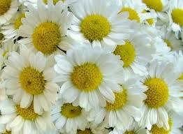 Айдана Нуржазкызы | Усть-Каменогорск