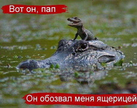 Макс Егоров inck | Тверь