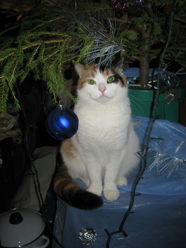 Елена Багрова | Санкт-Петербург