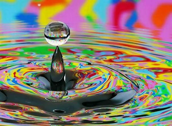 №95, Анна Машковская №95, Анна Машковская