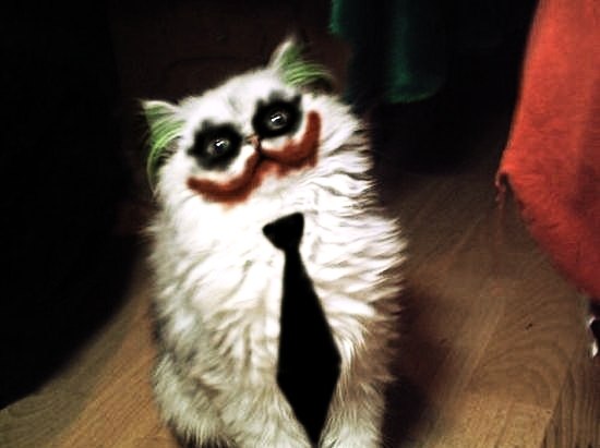 Константин Водовсков | Волгоград