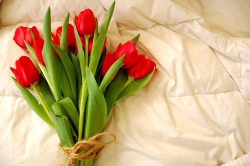 Юля Елгина | Кемерово