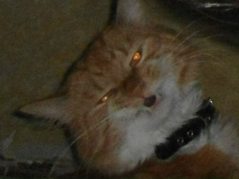 Кристина Соколова | Хабаровск