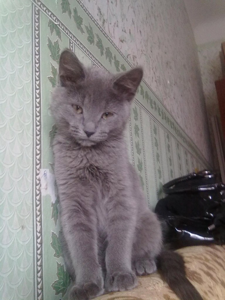 Ирина-ирэн Баранцева | Северодвинск