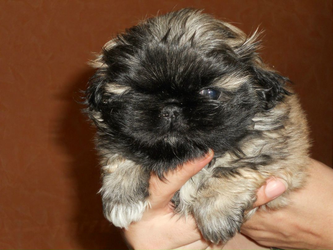 Юрий Иванов | Москва