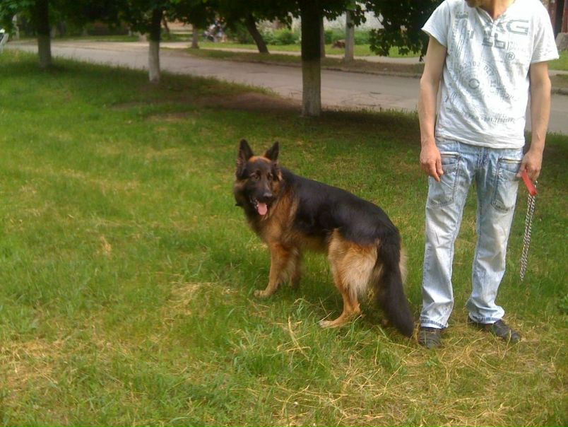 №6, Ярослав Бондарь №6, Ярослав Бондарь